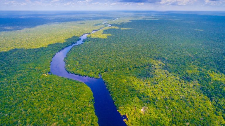 Brasil ,no ano da COP30, investimentos privados em projetos ambientais somam R$ 48,2 bilhões, aponta Amcham