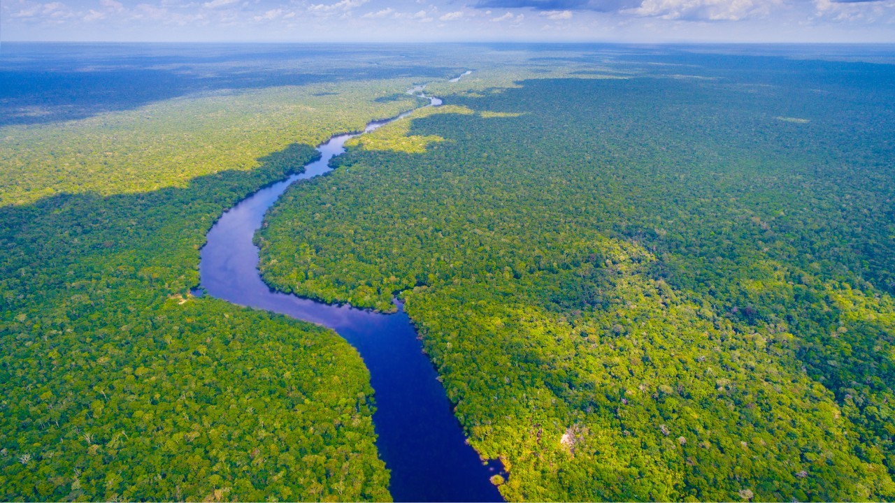 Brasil ,no ano da COP30, investimentos privados em projetos ambientais somam R$ 48,2 bilhões, aponta Amcham