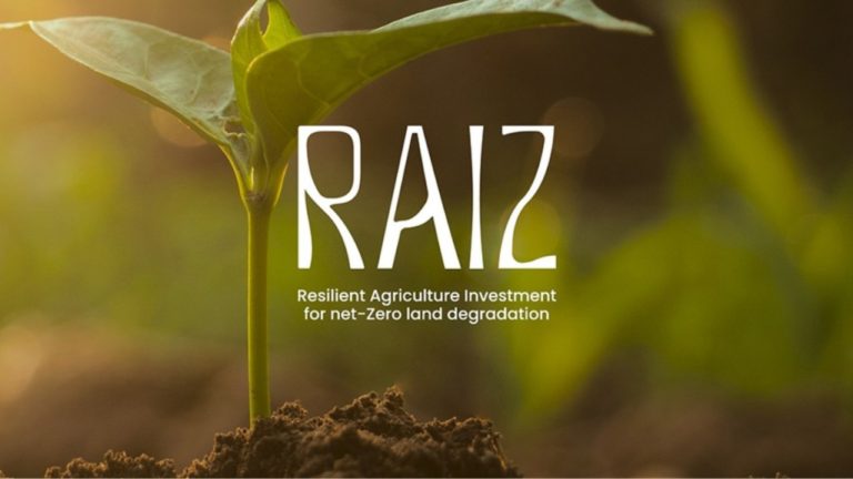 RAIZ: Brasil lança iniciativa global para áreas degradadas