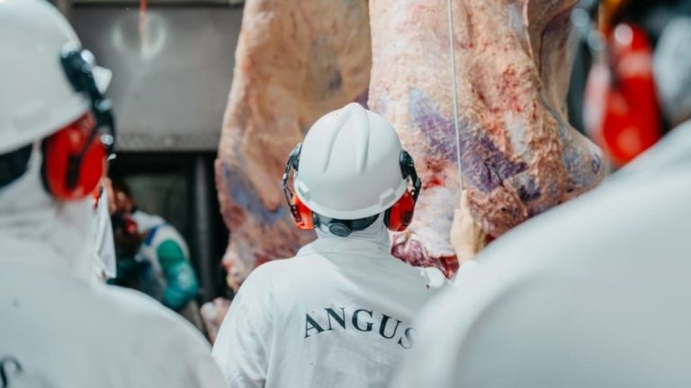 Concursos de carcaça movimentam mercado de carne certificada na busca por excelência