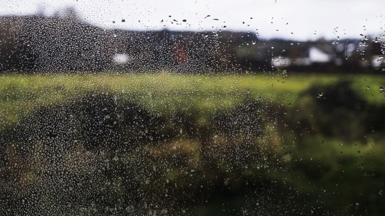 La NiñaProdutores do N e NE se preparar para volume de chuvas La Niña:Produtores do N e NE se preparar para volume de chuvas