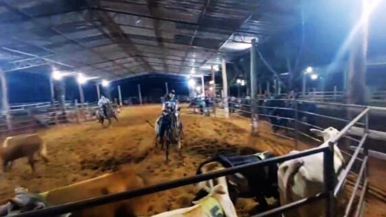 Pista coberta Ranch Sorting Campinas RB Ranch