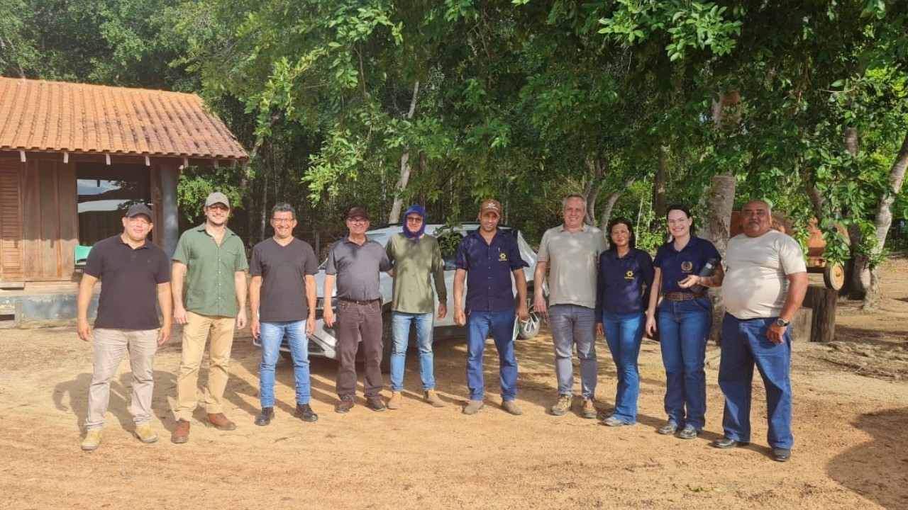 Projeto Soja Sustentável na Amazônia fomenta agricultura regenerativa Projeto Soja Sustentável na Amazônia fomenta agricultura regenerativa