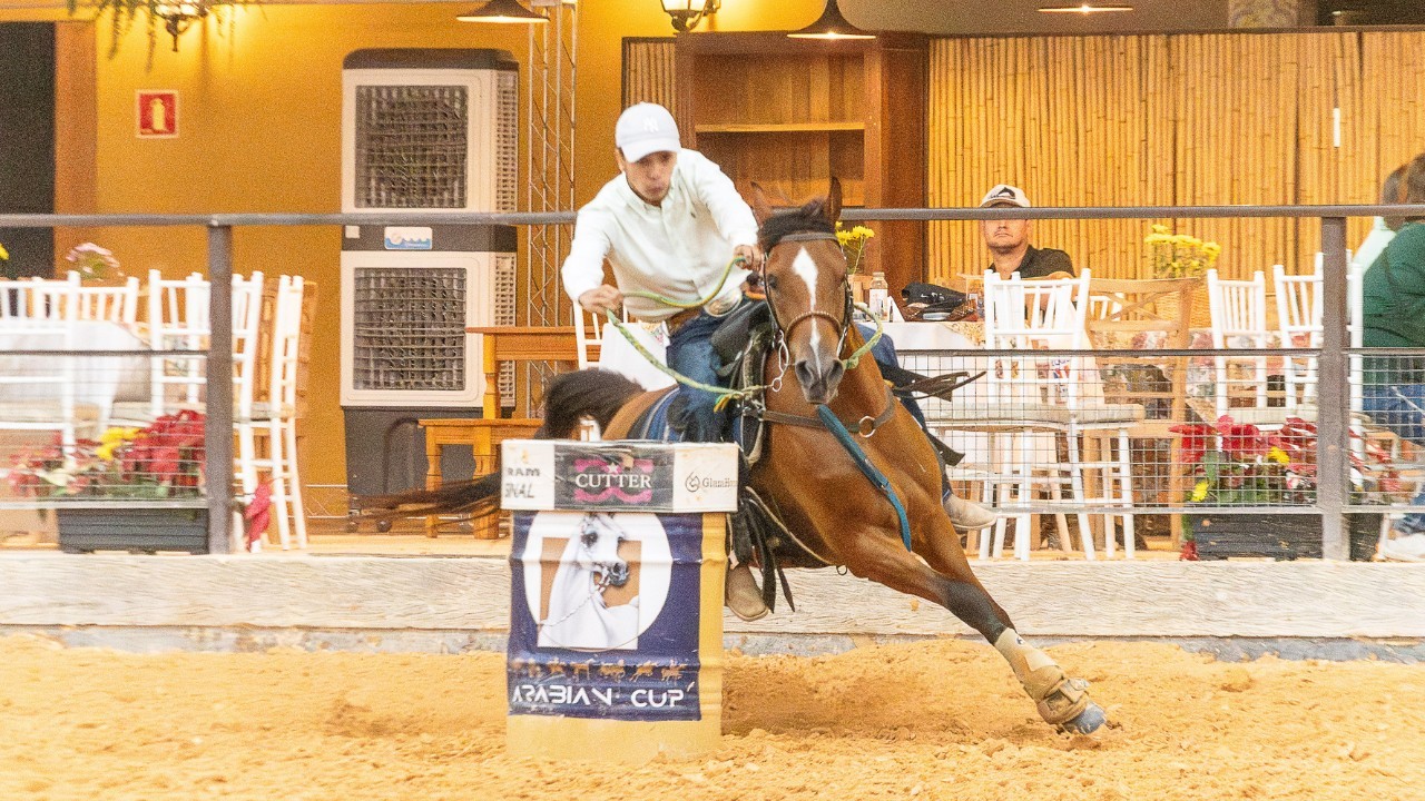 Tatuí (SP) sedia exposição esportiva do cavalo Árabe