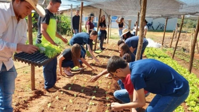 Leia outras notícias no portal Mundo Agro Brasil