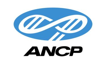 ANCP anuncia nova estrutura de governança e gestão