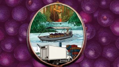 Açaí vive momento decisivo: estudo do Amazônia 2030 revela desafios e oportunidades para o fruto