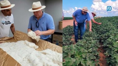 Bahia apresenta qualidade do algodão para renomado consultor norte-americano