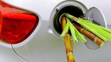 Encontro em Alagoas destaca posição do etanol na transição energética