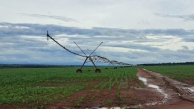 Mato Grosso do Sul deve ser reconhecido como polo de agricultura