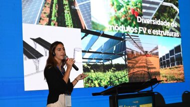 O Brasil pode (e deve) ser líder em sistemas agrivoltaicos
