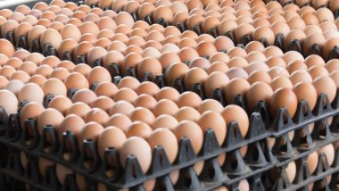 Produção de ovos do Paraná cresce 72% em uma década