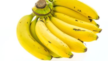 Produtores do Vale do Ribeira fornecerão 60 milhões de bananas para estudantes de SP