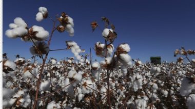 Programa ABR certifica primeiras fazendas para a safra de algodão 2021/2022