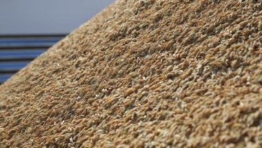 Produtor rural preparando carga para exportação de arroz com foco nos padrões de qualidade exigidos pelo mercado internacional.